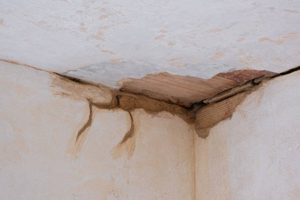  Shavertown, PA Water damage restoration Pros