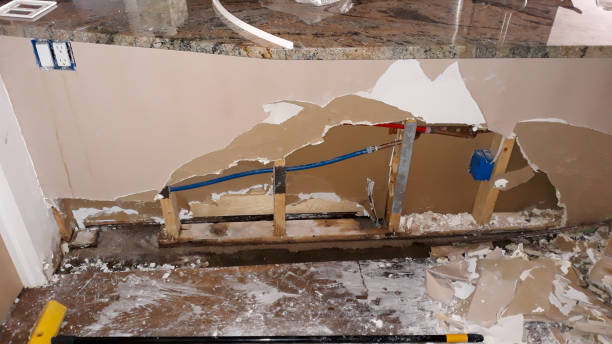 Best Ceiling water damage repair  in Shavertown, PA