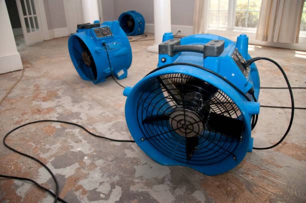 Best Fire Damage Restoration  in Shavertown, PA